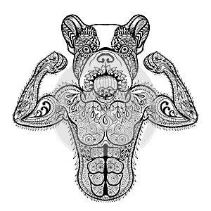 Zentangle stylized strong French Bulldog like bodybuilder. Hand