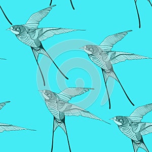Zentangle stylized swallow seamless pattern Hand Drawn i