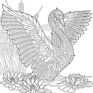 Zentangle stylized swan