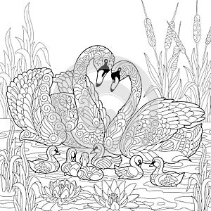 Zentangle stylized swan birds family