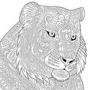 Zentangle stylized tiger