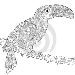Zentangle stylized toucan
