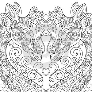 Zentangle stylized two lovely giraffes with a heart