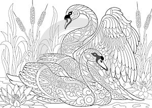 Zentangle stylized two swans