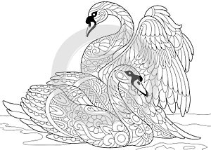 Zentangle stylized two swans