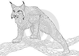 Zentangle stylized wildcat photo