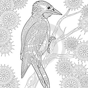 Zentangle stylized woodpecker