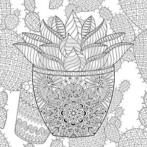 Zentangle Succulent on vector cactus seamless pattern. Hand draw