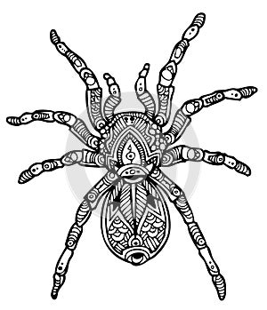 Zentangle tarantula