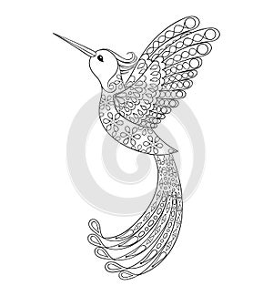 Zentangle tribal Hummingbird, flying bird totem for adult Colori