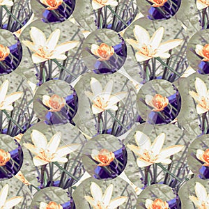 Zephyranthes citrina flower seamless pattern