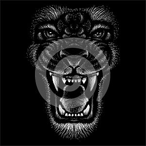 The Vector logo animal for tattoo or T-shirt  print design or outwear. photo