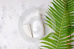 Zero waste bathroom accessories, coconut solid soap and shampoo bars, soap shower gel dispenser, ferb branch, concept of minimal photo