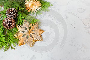 Zero waste Christmas concept flat lay. Beautiful background Christmas trees and decorations. Celebrating the winter