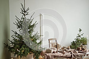 Zero waste Christmas concept. Live Christmas trees in flowerpots and hand made gift wrapping