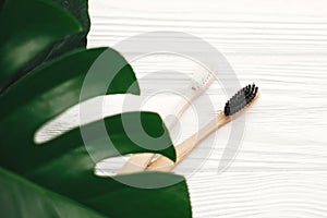 Zero waste concept. Natural eco friendly bamboo toothbrushes on