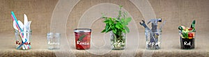 Zero Waste management, illustrated in 6 jars with text Refuse, reduce, recycle, repair, reuse, rot. photo