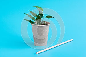 Zero waste and plastic free concept. Eco-friendly disposable paper cup, green leaves and paper straw on blue background