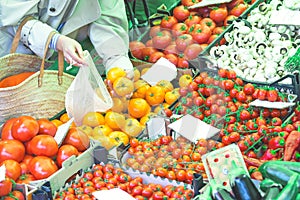 Zero waste shopping on farmerts market