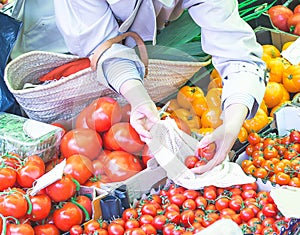 Zero waste shopping on farmerts market