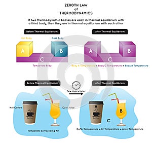 Zeroth Law of Thermodynamics Infographic Diagram