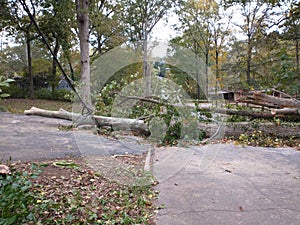 Zeta storm Aftermath in Georgia