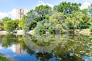 Zhabenka river near pond in of Moscow in summer