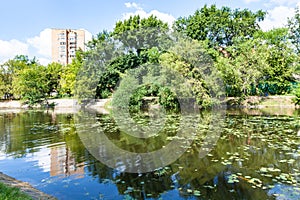 Zhabenka river near pond in of Moscow in summer photo