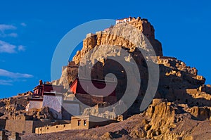 Zhada Soil Forest and Ruins of Guge Kingdom