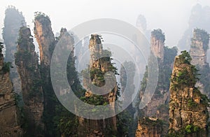 ZhangJiaJie, 1st national forest park in China