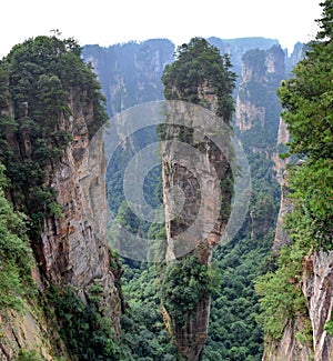 Zhangjiajie the Avatarar mountains in Hunan province in China.