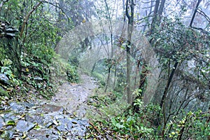 Zhangjiajie Forest Park.