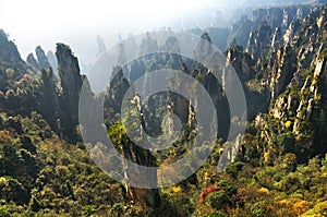 Zhangjiajie Forest Park. Gigantic pillar mountains rising from the canyon. Tianzi Mountain. Hunan province, China photo