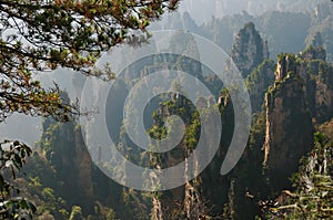 Zhangjiajie Forest Park. Gigantic pillar mountains rising from the canyon. Tianzi Mountain. Hunan province, China