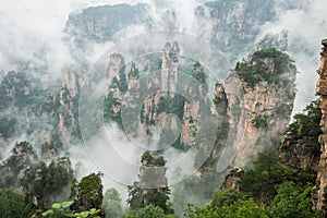 Zhangjiajie Forest Park. Gigantic pillar mountains rising from t