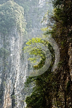 Zhangjiajie Grand Canyon, Hunan, China