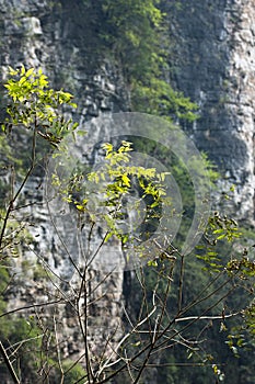 Zhangjiajie Grand Canyon, Hunan, China