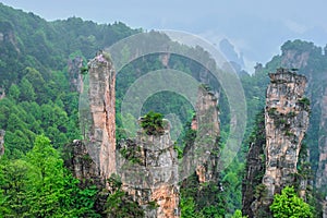 Zhangjiajie mountains, China