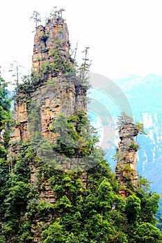 Zhangjiajie National Forest Park