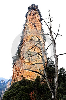 Zhangjiajie National Forest Park