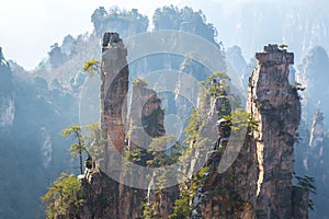 Zhangjiajie National forest park