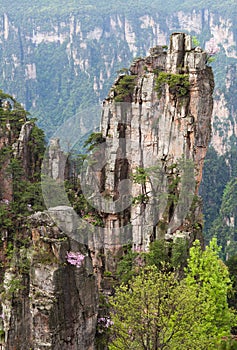 Zhangjiajie National Forest Park in Hunan Province of China