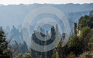 Zhangjiajie National Forest Park in Hunan Tianzishan Yufeng peak