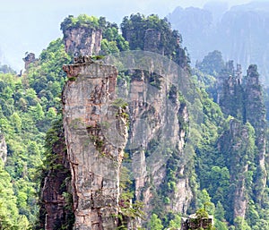 Zhangjiajie National Forest Park at Wulingyuan Scenic Area, Hunan province of China