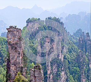 Zhangjiajie National Forest Park at Wulingyuan Scenic Area, Hunan province of China