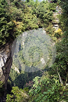 Zhangjiajie National Forest Park, Yuangjiajie Tianzishan, Hunan, China