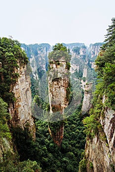 Zhangjiajie national park in China