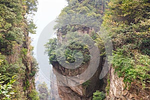 Zhangjiajie national park ( tian zhi shan ) ( Tianzi Mountain Nature Reserve ) and fog , China photo