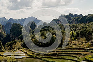 Zhangjiajie national park photo