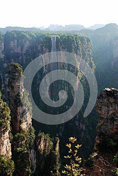 Zhangjiajie reserve